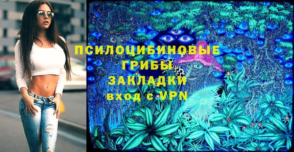 стаф Алексеевка