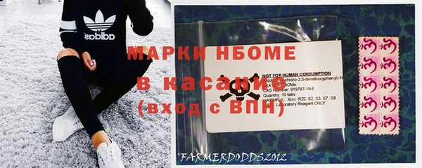прущие грибы Алзамай