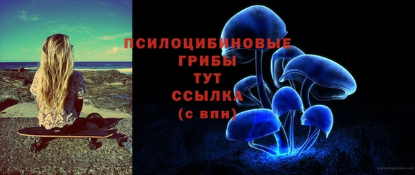 прущие грибы Алзамай