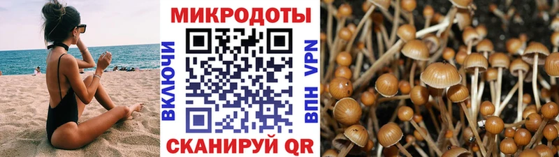 Псилоцибиновые грибы ЛСД  купить наркотик  Тавда 
