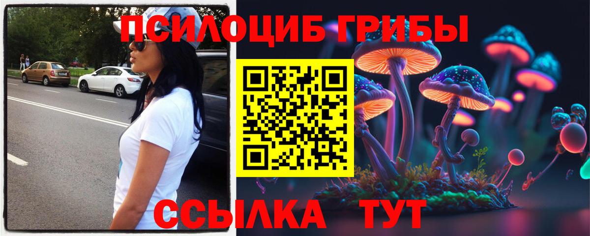 Тавда  Галлюциногенные грибы GOLDEN TEACHER  Вход с VPN  Псилоцибиновые грибы GOLDEN TEACHER 