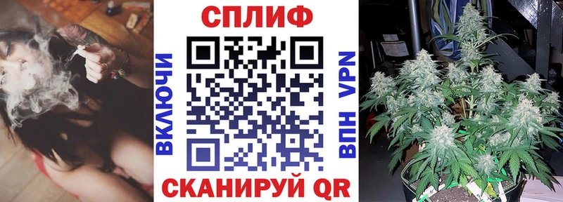 где купить   Тавда  Каннабис AK-47 